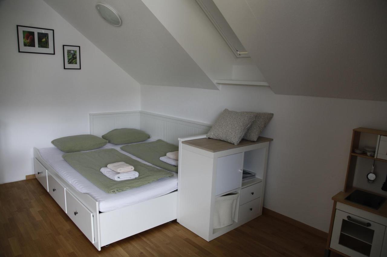 Family Apartment On Repecnik Farm In Gorje, Bled Згорнье-Горье Экстерьер фото